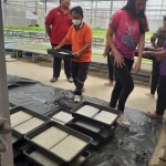 โครงการฝึกอบรมอาชีพและพัฒนาฝีมือให้กับประชาชนตำบลหัวเสือ (การปลูกผักไฮโดรโปรนิกส์ ปลอดสาร) ประจำปีงบประมาณ พ.ศ.2567 ในวันพุธที่ 20 มีนาคม พ.ศ.2567