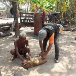 กิจกรรมโครงการสัตว์ปลอดโรคคนปลอดภัยจากโรคพิษสุนัขบ้า (ตามพระปณิธานของ ศ.ดร.สมเด็จพระเจ้าน้องนางเธอ เจ้าฟ้าจุฬาภรณวลัยลักษณ์ฯ) ประจำปีงบประมาณ พ.ศ.2567