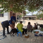 กิจกรรมโครงการสัตว์ปลอดโรคคนปลอดภัยจากโรคพิษสุนัขบ้า (ตามพระปณิธานของ ศ.ดร.สมเด็จพระเจ้าน้องนางเธอ เจ้าฟ้าจุฬาภรณวลัยลักษณ์ฯ) ประจำปีงบประมาณ พ.ศ.2567