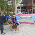 กิจกรรมโครงการสัตว์ปลอดโรคคนปลอดภัยจากโรคพิษสุนัขบ้า (ตามพระปณิธานของ ศ.ดร.สมเด็จพระเจ้าน้องนางเธอ เจ้าฟ้าจุฬาภรณวลัยลักษณ์ฯ) ประจำปีงบประมาณ พ.ศ.2567