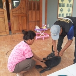 กิจกรรมโครงการสัตว์ปลอดโรคคนปลอดภัยจากโรคพิษสุนัขบ้า (ตามพระปณิธานของ ศ.ดร.สมเด็จพระเจ้าน้องนางเธอ เจ้าฟ้าจุฬาภรณวลัยลักษณ์ฯ) ประจำปีงบประมาณ พ.ศ.2567