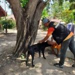 กิจกรรมโครงการสัตว์ปลอดโรคคนปลอดภัยจากโรคพิษสุนัขบ้า (ตามพระปณิธานของ ศ.ดร.สมเด็จพระเจ้าน้องนางเธอ เจ้าฟ้าจุฬาภรณวลัยลักษณ์ฯ) ประจำปีงบประมาณ พ.ศ.2567