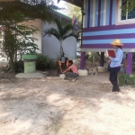 กิจกรรมโครงการสัตว์ปลอดโรคคนปลอดภัยจากโรคพิษสุนัขบ้า (ตามพระปณิธานของ ศ.ดร.สมเด็จพระเจ้าน้องนางเธอ เจ้าฟ้าจุฬาภรณวลัยลักษณ์ฯ) ประจำปีงบประมาณ พ.ศ.2567