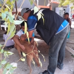 กิจกรรมโครงการสัตว์ปลอดโรคคนปลอดภัยจากโรคพิษสุนัขบ้า (ตามพระปณิธานของ ศ.ดร.สมเด็จพระเจ้าน้องนางเธอ เจ้าฟ้าจุฬาภรณวลัยลักษณ์ฯ) ประจำปีงบประมาณ พ.ศ.2567