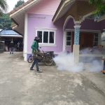 โครงการรณรงค์ป้องกันและควบคุมโรคไข้เลือดออกตำบลหัวเสือ ประจำปีงบประมาณ พ.ศ.2567