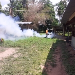 โครงการรณรงค์ป้องกันและควบคุมโรคไข้เลือดออกตำบลหัวเสือ ประจำปีงบประมาณ พ.ศ.2567