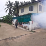 โครงการรณรงค์ป้องกันและควบคุมโรคไข้เลือดออกตำบลหัวเสือ ประจำปีงบประมาณ พ.ศ.2567