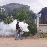 โครงการรณรงค์ป้องกันและควบคุมโรคไข้เลือดออกตำบลหัวเสือ ประจำปีงบประมาณ พ.ศ.2567