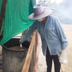 โครงการรณรงค์ป้องกันและควบคุมโรคไข้เลือดออกตำบลหัวเสือ ประจำปีงบประมาณ พ.ศ.2567