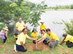 โครงการ 72 ล้านต้น พลิกฟื้นผืนป่า เฉลิมพระเกียรติพระบาทสมเด็จพระเจ้าอยู่หัว เนื่องในโอกาสพระราชพิธีมหามงคลเฉลิมพระชนมพรรษา 6 รอบ 28 กรกฎาคม 2567